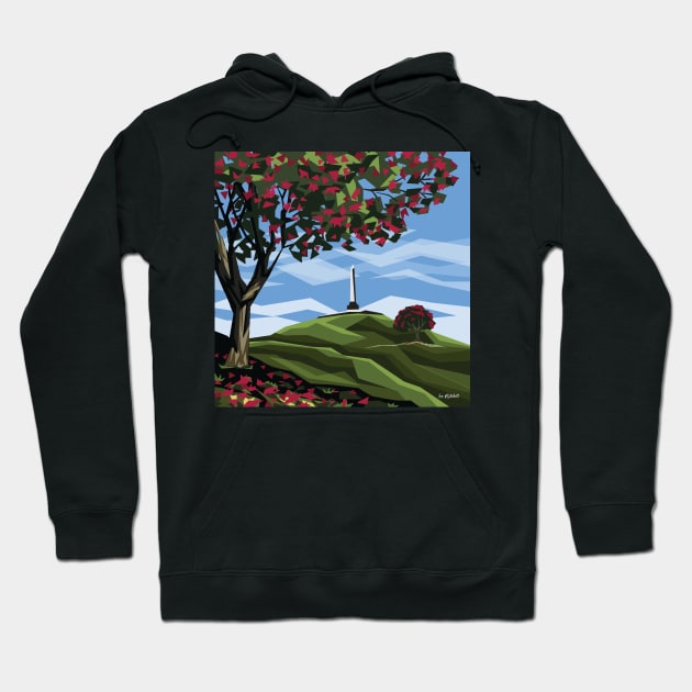 One Tree Hill, Auckland Hoodie by irajane